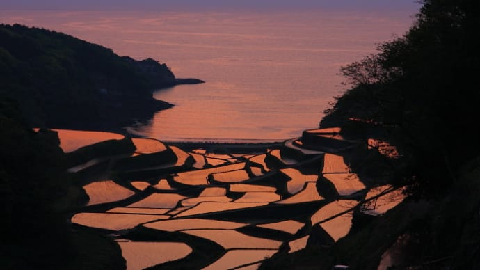 浜の浦の棚田
