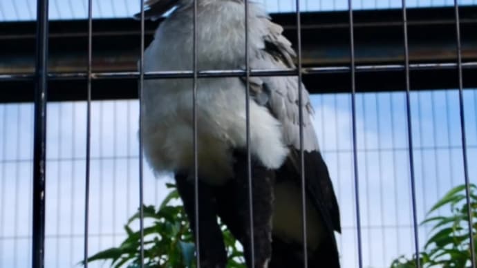 東武動物公園　その1