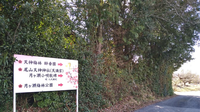 月ヶ瀬「梅まつり」前に、再び。八代さんの歌碑はココ。