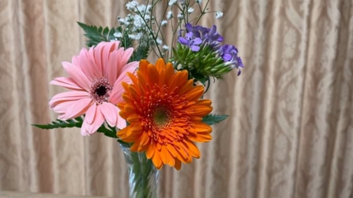 7月5日のお花♪