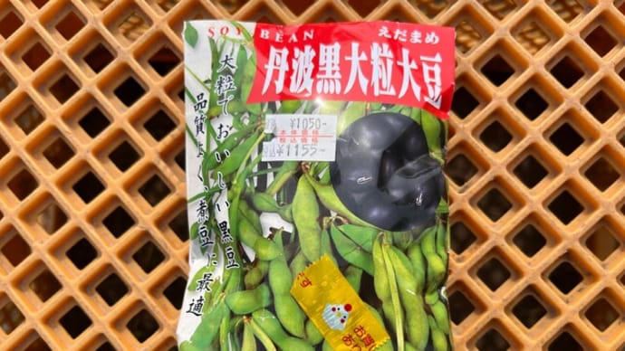 丹波黒大粒大豆の種を買って来ました。