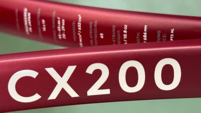 【2024】ダンロップの新CX200はどんな感じ？(その前にリセットも怠らず)