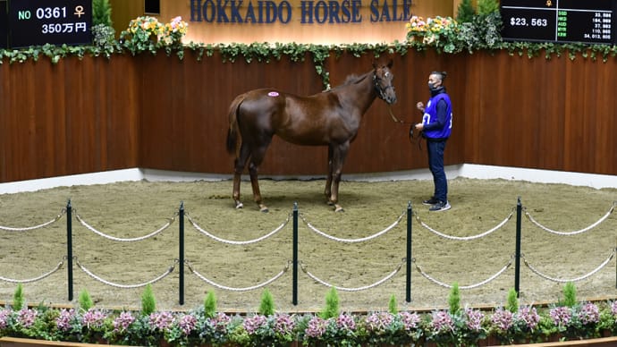 オータムセール出身馬【ニジイロハーピー(Nijiiro Harpy)】が「東海クイーンC(3歳牝重賞)」を優勝