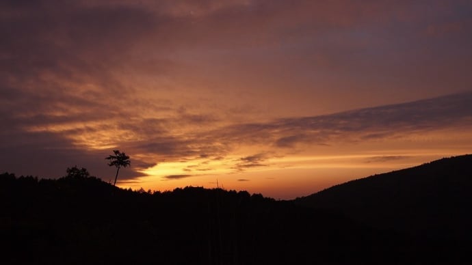 山の夕景とウスギヨウラク