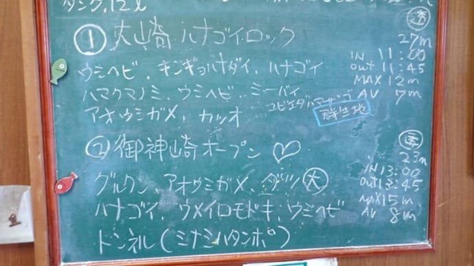 20231024ダイビングログ