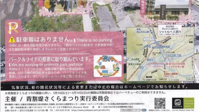 背割り堤、南禅寺、哲学の道のソメイヨシノ桜が満開だよ-----------ともちゃんからの画像投稿です