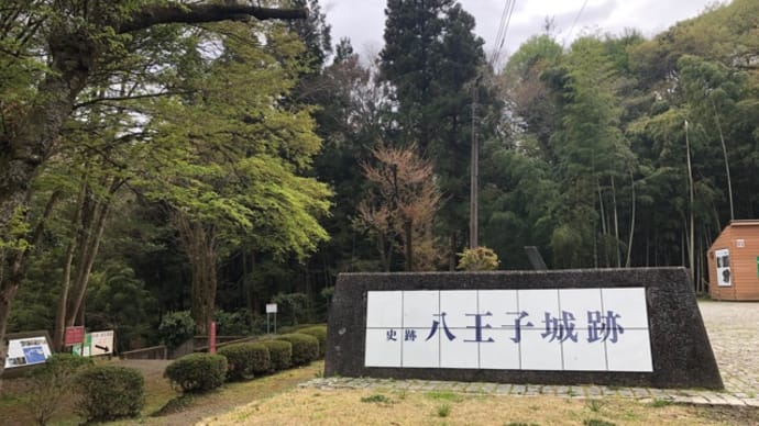 陣馬高原へドライブ。