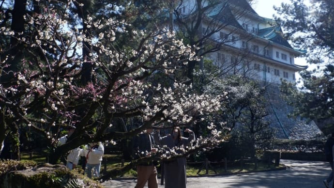 名古屋弾丸 2 名古屋城編