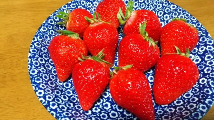 イチゴ🍓おいしかった🎵🎵
