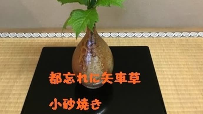 5/14 昨日は