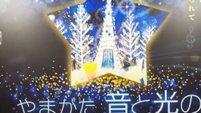 寒河江イルミネーション~加茂水族館~牛たん利久