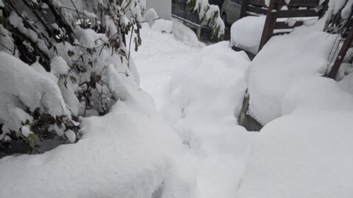 深々(しんしん)と降る雪