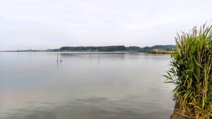 初夏