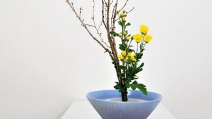 珍しい十月桜(ジュウガツザクラ)で生花・・秋と春咲く桜