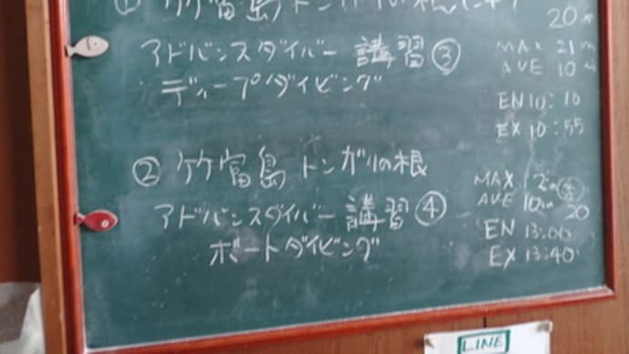 本日のダイビングログ