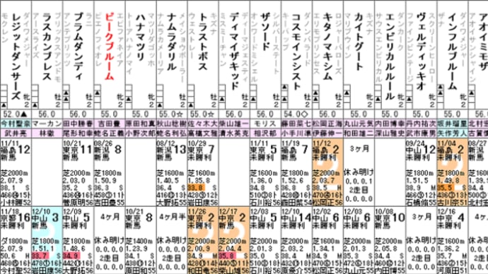 【ピークブルーム】ここが実質デビュー戦! 12/28中山4R・出走確定