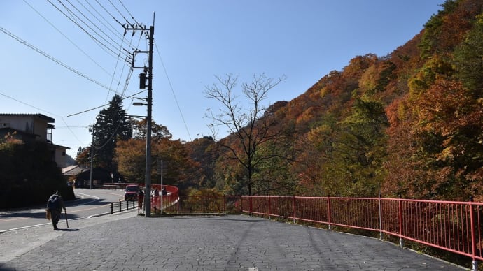 もみじ狩り 群馬県高崎市 榛名山・榛名湖(2)榛名山大鳥居、随神門(ずいしんもん)と紅葉