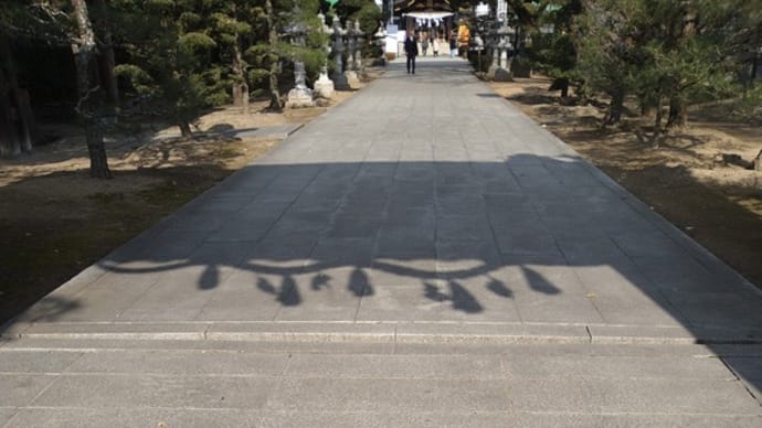 今年もよろしくお願い申し上げます。