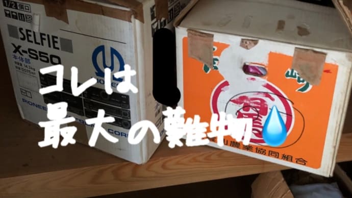 やはり捨て期がきていたよ