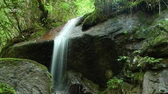 長野県の滝 売木村の不動滝