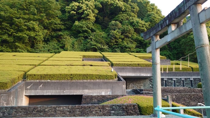 まもなく登場!"花の屋根"