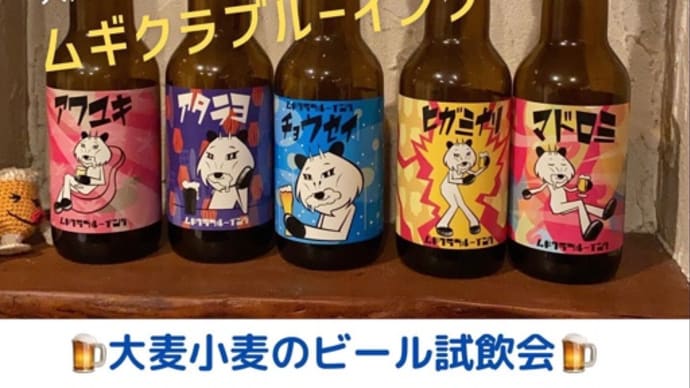 明日はムギクラブルーイング試飲会!!