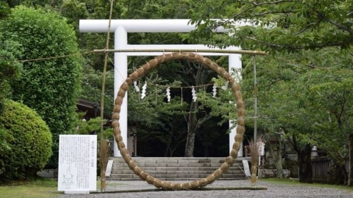安房神社で茅の輪くぐり