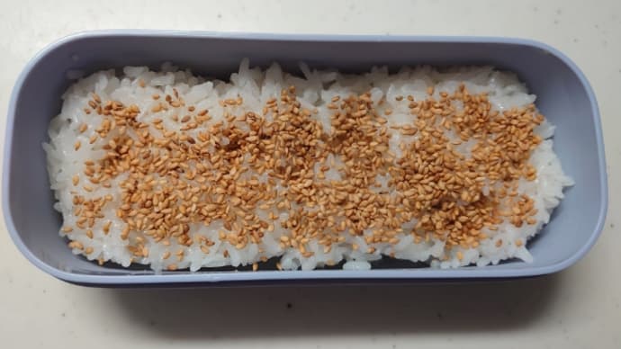今日は小籠包弁当🍱