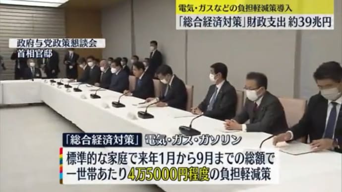DSと岸田文雄朝鮮カルト悪裏社会の『経済対策実施します。』詐欺。