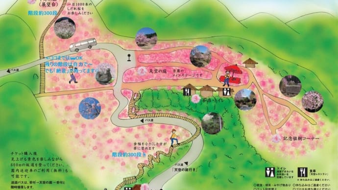 2021年「高見の郷:千年の丘」(展望台の一目千本枝垂れ桜)