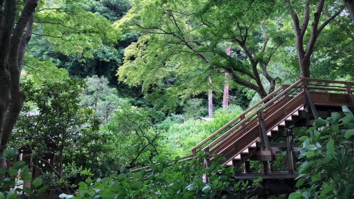 久々に 行きたくなって 鎌倉へ