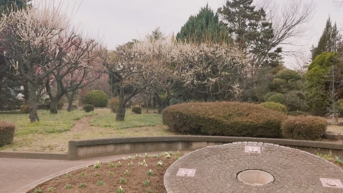 公園でほんのちょっと走った