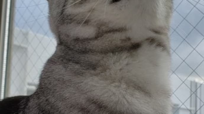 足台 その後