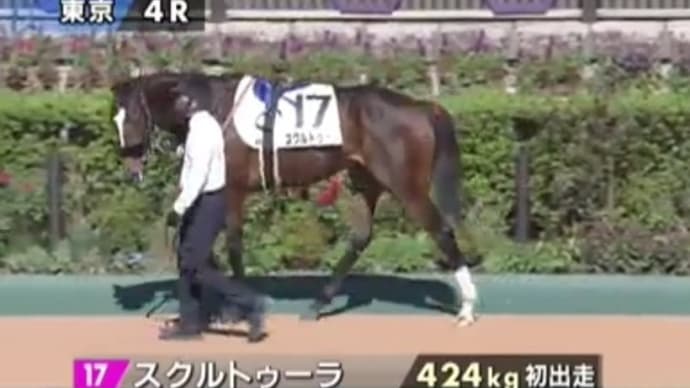 フェアリーSを予想する。