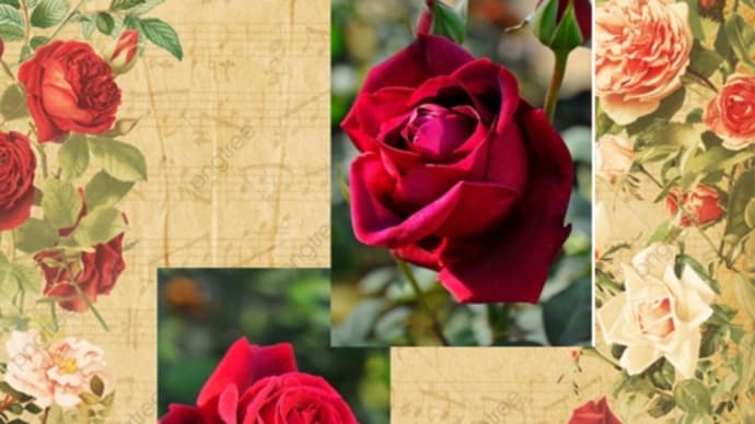 薔薇の名前・・・はてな〜♪
