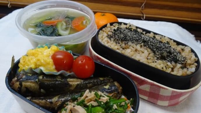 地味な健康お弁当三連発