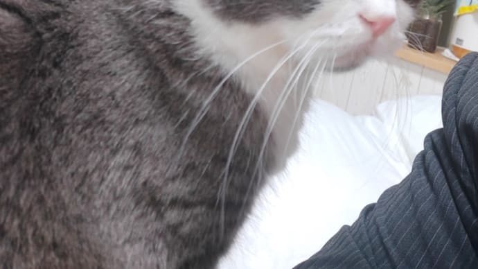 プライド