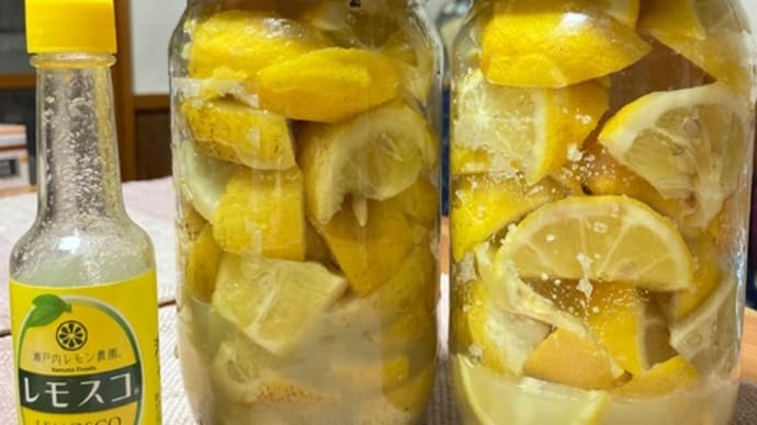 🍋塩レモン&🍋レモスコ