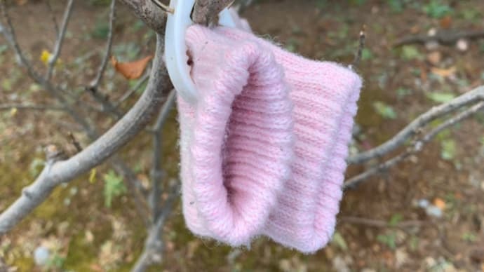 日乗 diary - 落としモノ 手袋239 lost glove