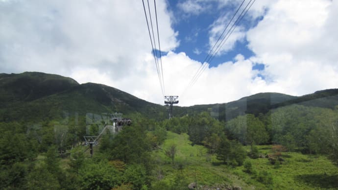 鳥取から涼しさを求めて長野県の北八ヶ岳へ