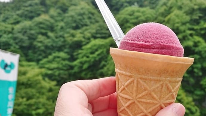 山ぶどうの里「朝日」の山ぶどう原液シャーベットをどうぞ♪