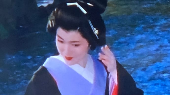 たつみ芸者...👘👘