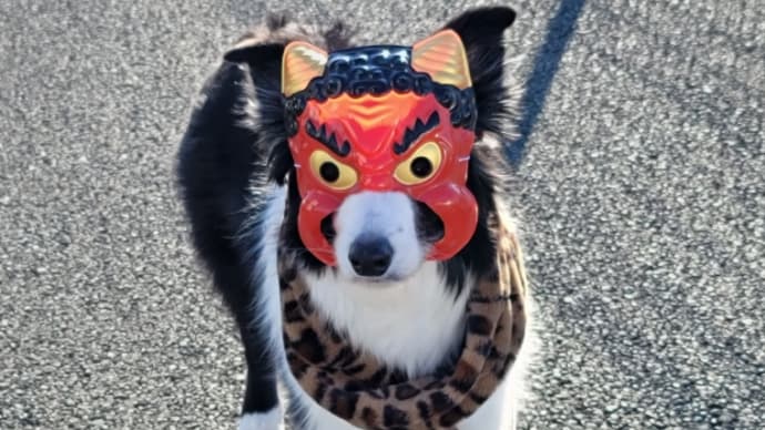 おにちゃんの通院
