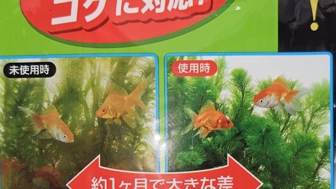 メタルハライドランプの球交換… その続き