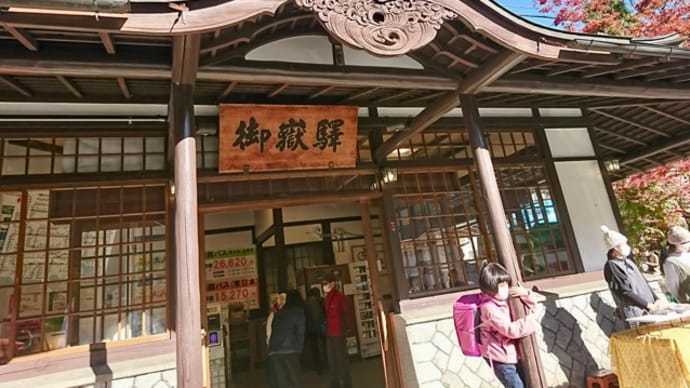 鉢から用土を取り出し洗います