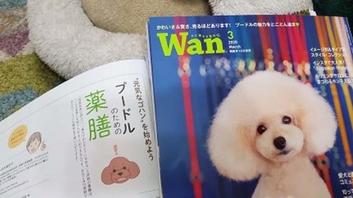 Wan3月号発売です!