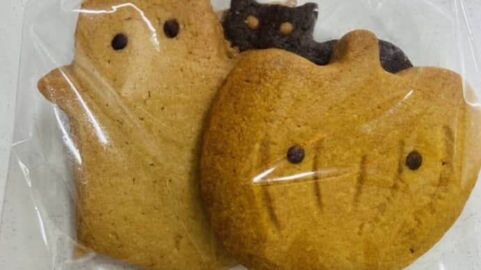 小学生の時から知っておきたい「ハロウィンに関する英語」(日本語編)