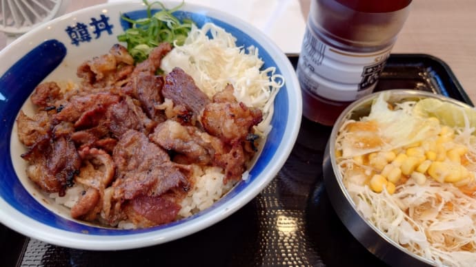 今日のご飯