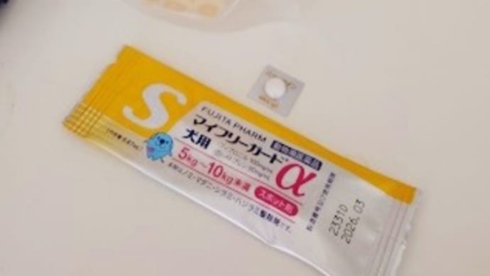 昨日忘れていたこと