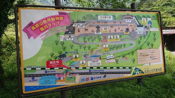 高崎山自然動物園(大分市)はとてもオススメ!